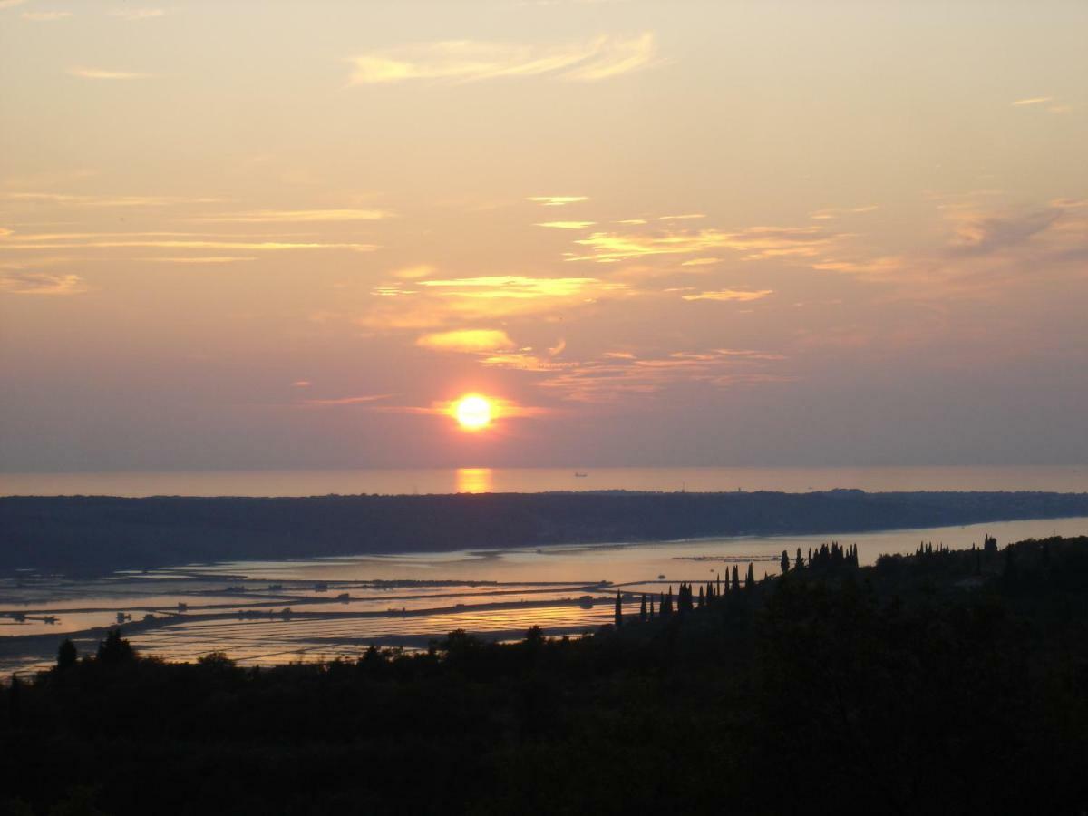 Apartma Medosi Izola Buitenkant foto